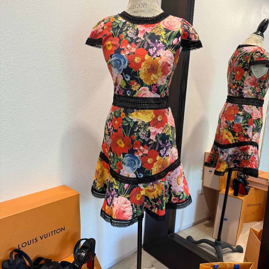 Alice & Olivia Rapunzel Flare Dress